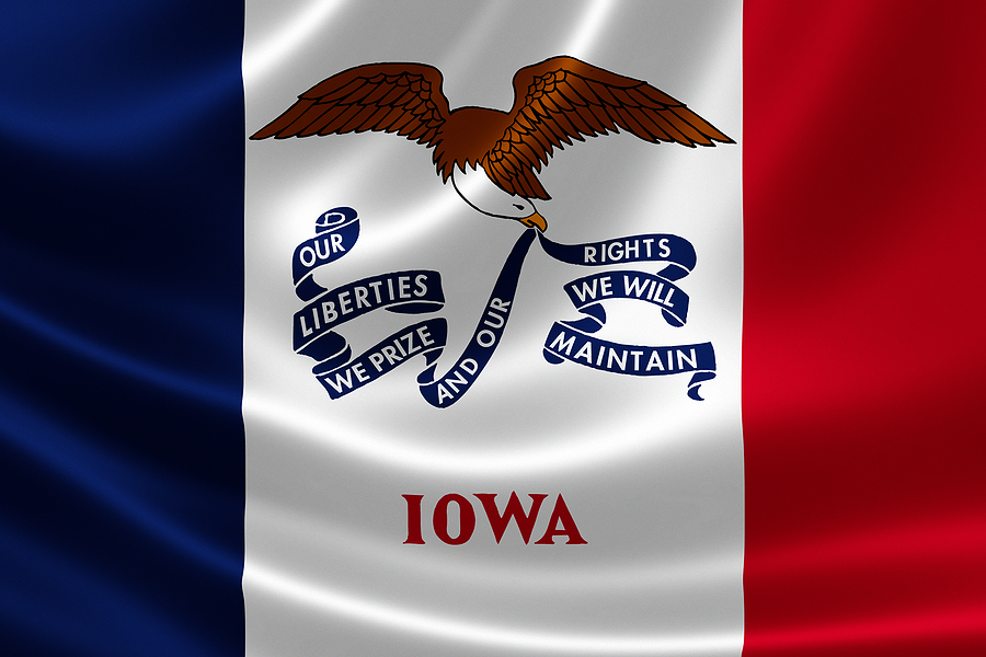 Iowa State Flag
