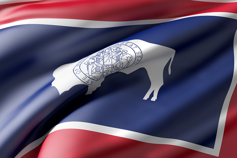Wyoming State Flag