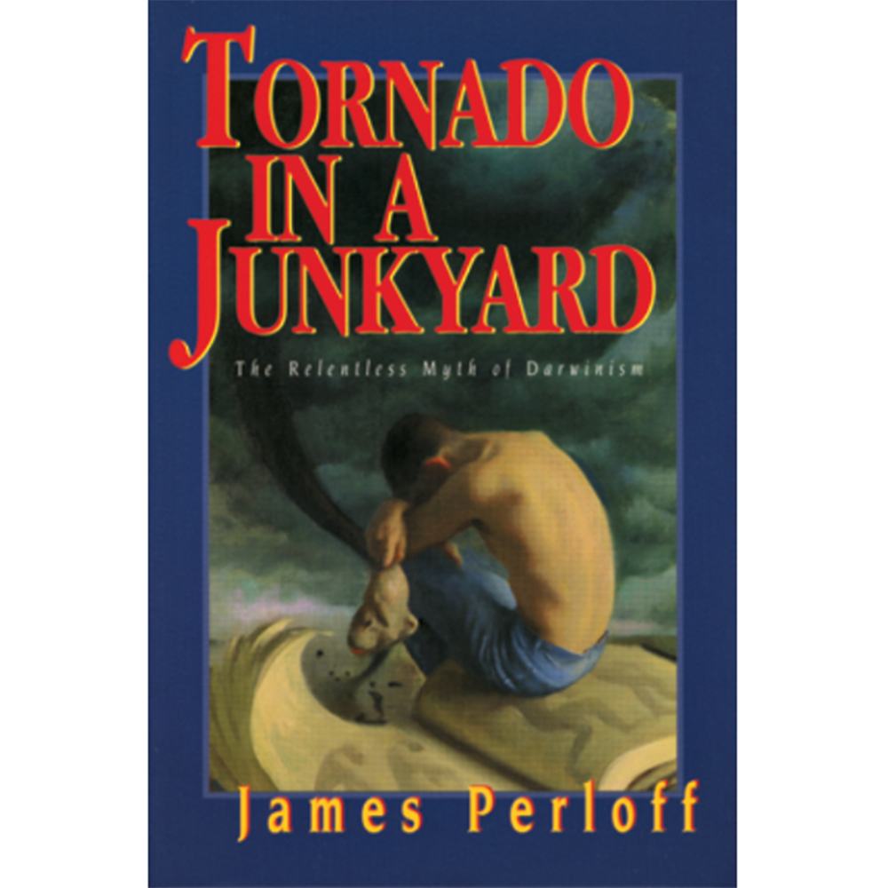 Tornado-in-a-Junkyard, Square